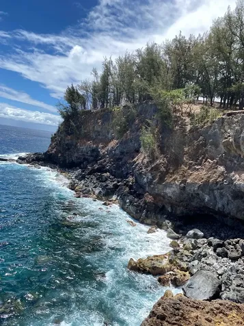 45-5060 Nanaina Kai Road Honokaa HI 96727