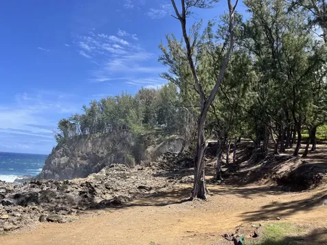 45-5060 Nanaina Kai Road Honokaa HI 96727