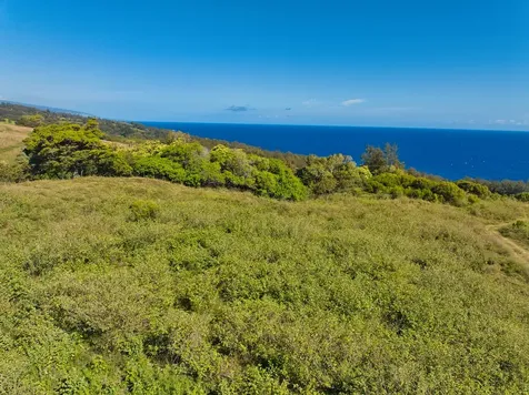 45-5060 Nanaina Kai Road Honokaa HI 96727