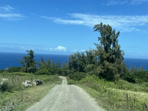 45-5060 Nanaina Kai Road Honokaa HI 96727