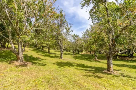 44-3200 Kula Kahiko Road Honokaa HI 96727