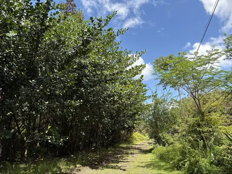 16-1432 Poouli Road Kurtistown HI 96760