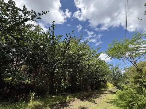 16-1432 Poouli Road Kurtistown HI 96760