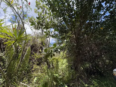 16-1432 Poouli Road Kurtistown HI 96760