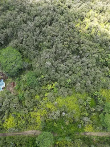 16-1432 Poouli Road Kurtistown HI 96760