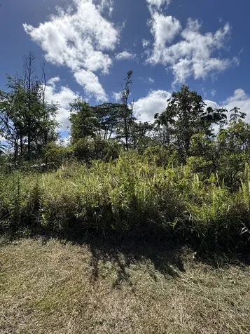 Brookover Street Kurtistown HI 96760