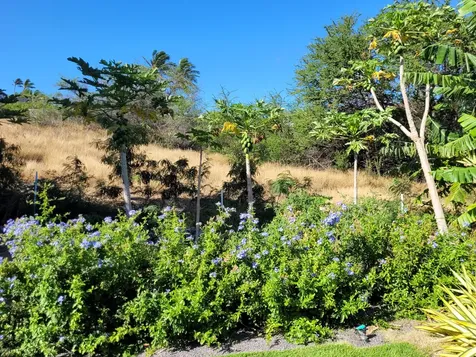 68-1818 Pau Nani Street Waikoloa HI 96738