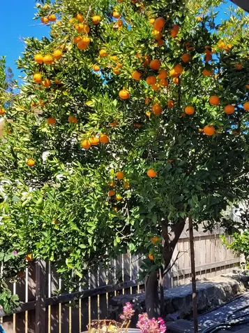 68-1818 Pau Nani Street Waikoloa HI 96738