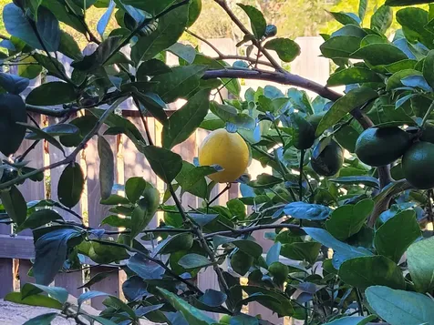 68-1818 Pau Nani Street Waikoloa HI 96738