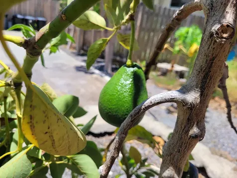 68-1818 Pau Nani Street Waikoloa HI 96738