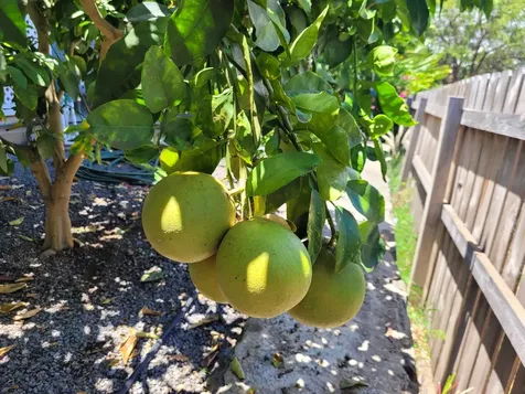 68-1818 Pau Nani Street Waikoloa HI 96738