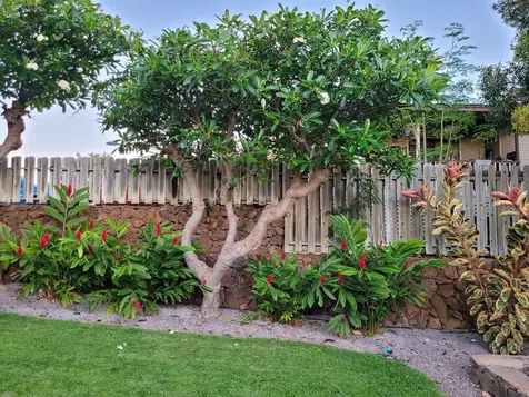 68-1818 Pau Nani Street Waikoloa HI 96738