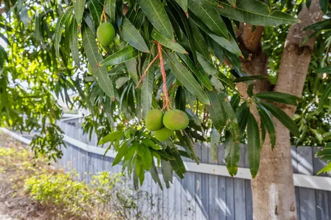 68-1849 Lina Poepoe Street Waikoloa HI 96738