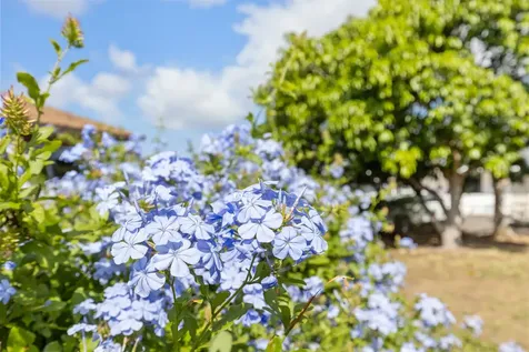 68-1849 Lina Poepoe Street Waikoloa HI 96738