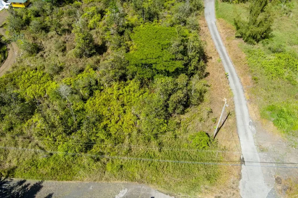 Road 9 (koloa Maoli) Kurtistown HI 96760