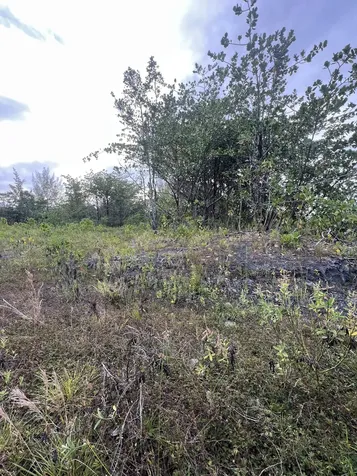 15-1702 1st Avenue Keaau HI 96749