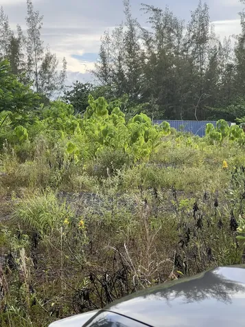 15-1702 1st Avenue Keaau HI 96749