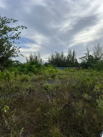 15-1702 1st Avenue Keaau HI 96749