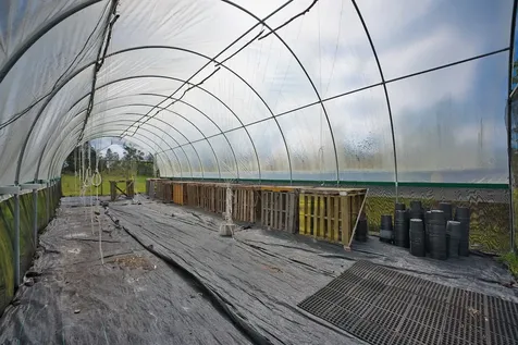 11-1984 Ohialani Road Volcano HI 96785