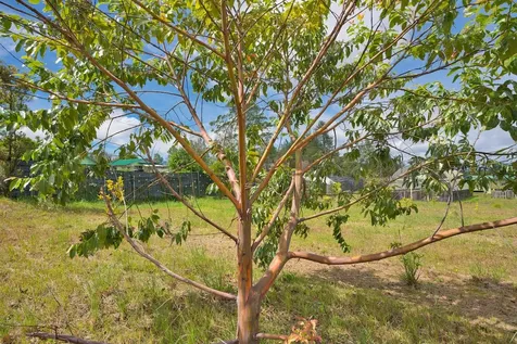 11-1984 Ohialani Road Volcano HI 96785