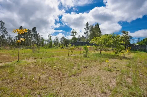 11-1984 Ohialani Road Volcano HI 96785