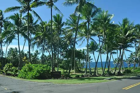 15-2685 Opae Street Pahoa HI 96778