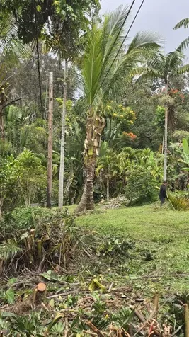 88-2660 Papa Homestead Road Captain Cook HI 96704