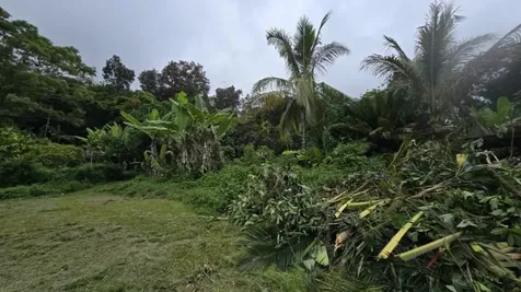 88-2660 Papa Homestead Road Captain Cook HI 96704