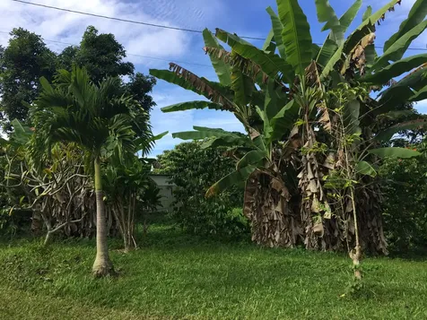 88-2660 Papa Homestead Road Captain Cook HI 96704