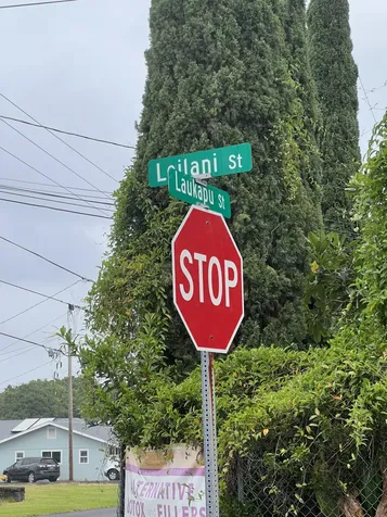 719 Laukapu Street Hilo HI 96720