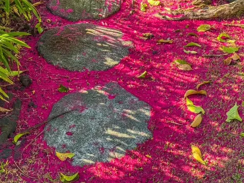 28 S Wiliwili Street Hilo HI 96720