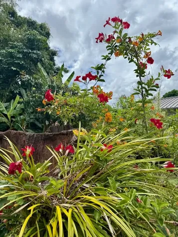 28 S Wiliwili Street Hilo HI 96720