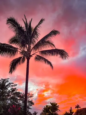 28 S Wiliwili Street Hilo HI 96720