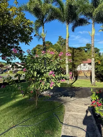 28 S Wiliwili Street Hilo HI 96720