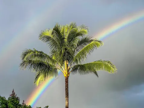 28 S Wiliwili Street Hilo HI 96720