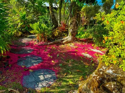 28 S Wiliwili Street Hilo HI 96720