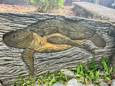 28 S Wiliwili Street Hilo HI 96720