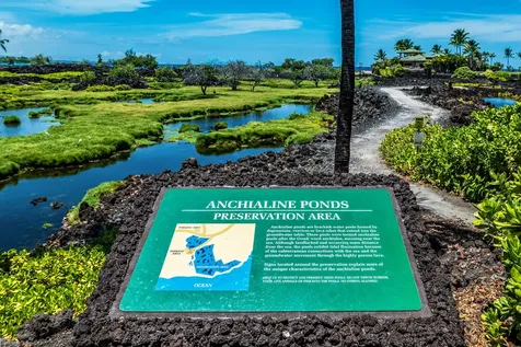 69-1035 Keana Place Waikoloa HI 96738