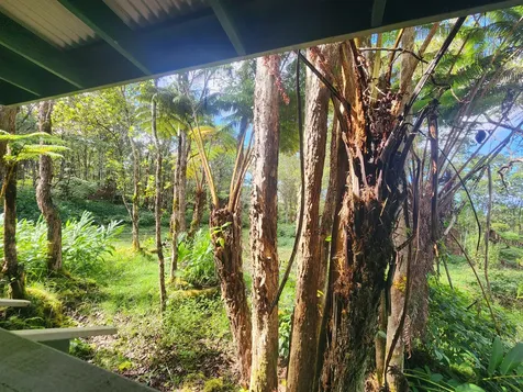 Above Mamalahoa Captain Cook HI 96704