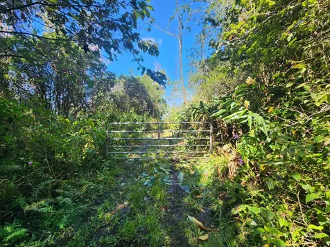 Above Mamalahoa Captain Cook HI 96704