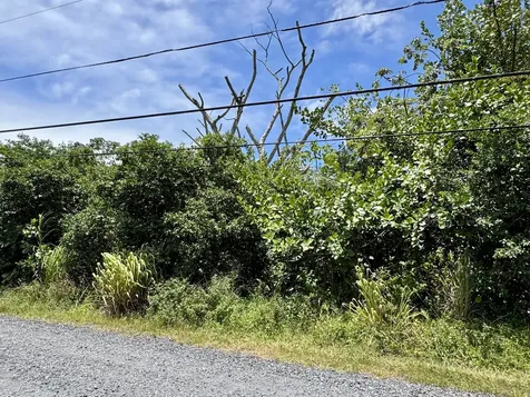 4th Avenue Keaau HI 96749