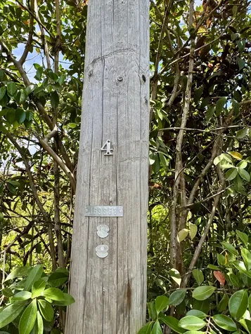 4th Avenue Keaau HI 96749