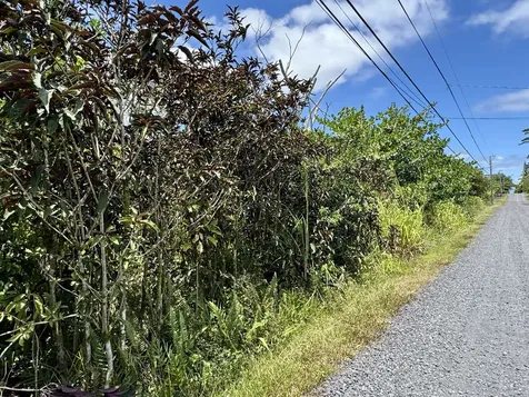 4th Avenue Keaau HI 96749