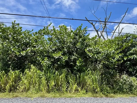 4th Avenue Keaau HI 96749