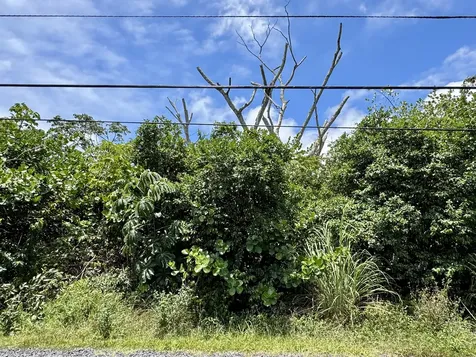 4th Avenue Keaau HI 96749