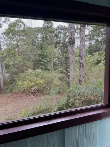 12-4322 Puna Street Pahoa HI 96778