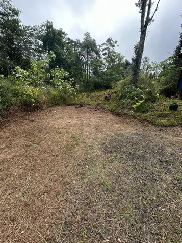 12-4322 Puna Street Pahoa HI 96778