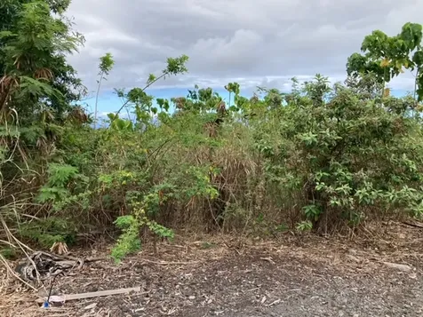 94-5770 Hune Kai Street Naalehu HI 96772