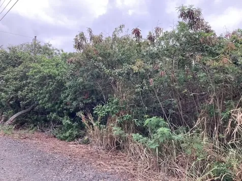 94-5770 Hune Kai Street Naalehu HI 96772