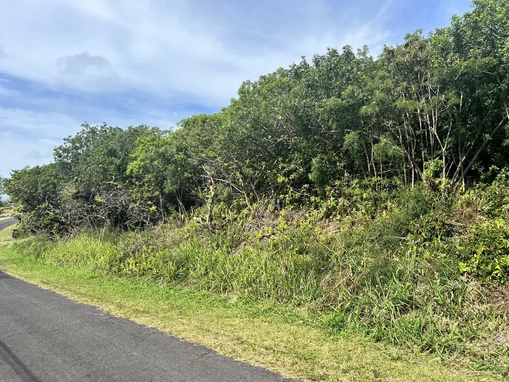 Kaulua Street Naalehu HI 96772